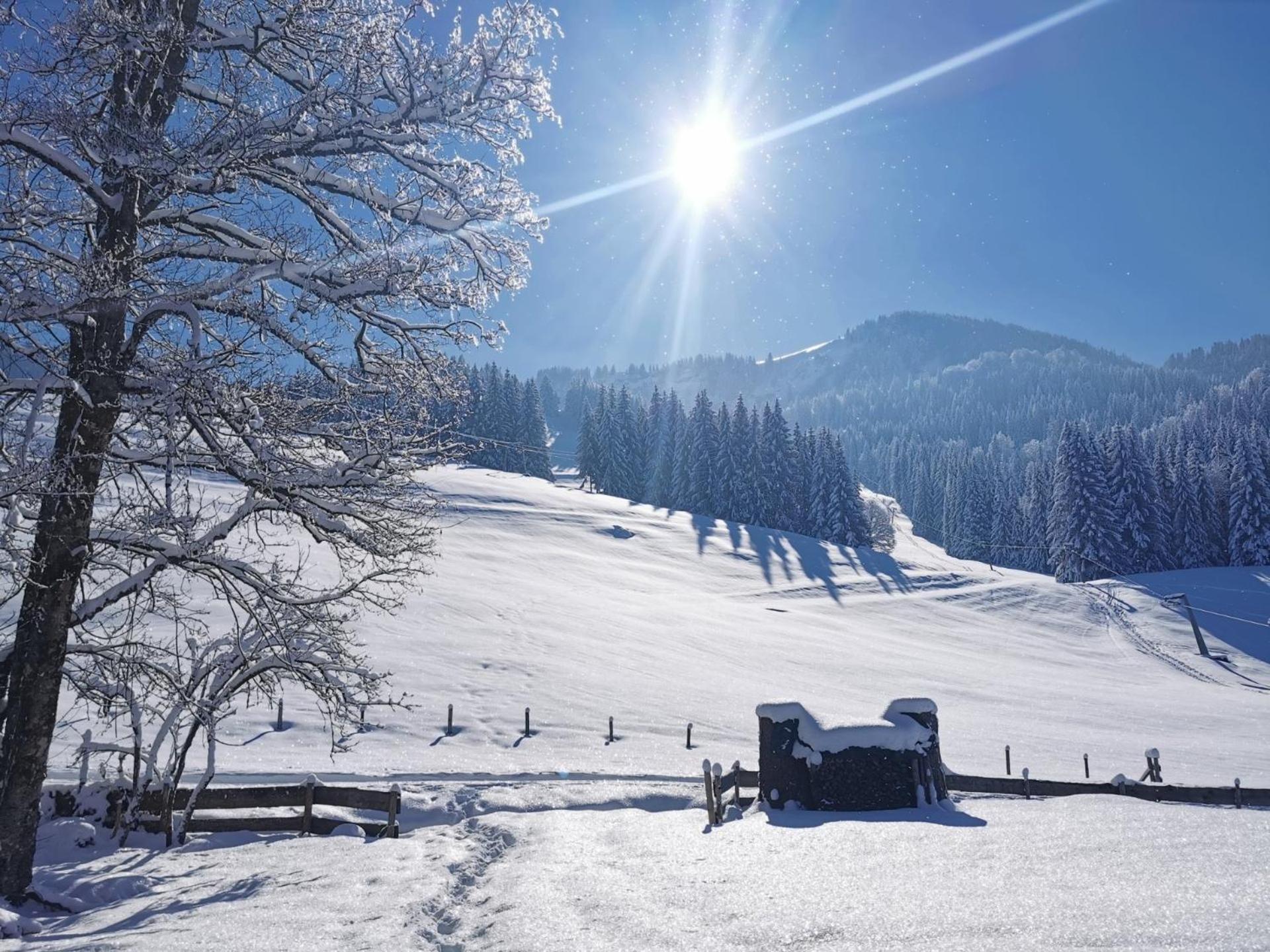 Konstanzer Bergblick Mit Wintergarten Оберштауфен Экстерьер фото