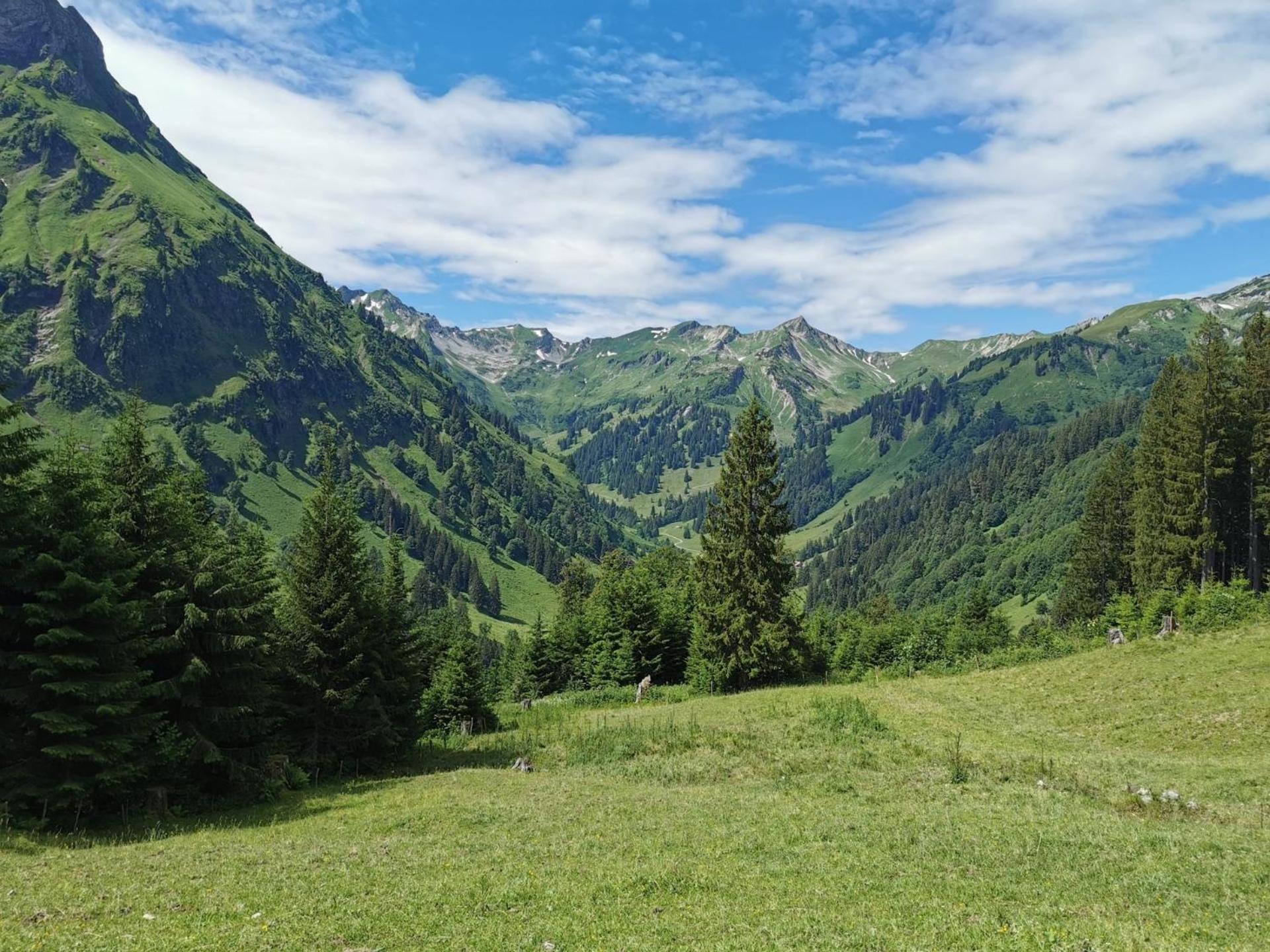 Konstanzer Bergblick Mit Wintergarten Оберштауфен Экстерьер фото
